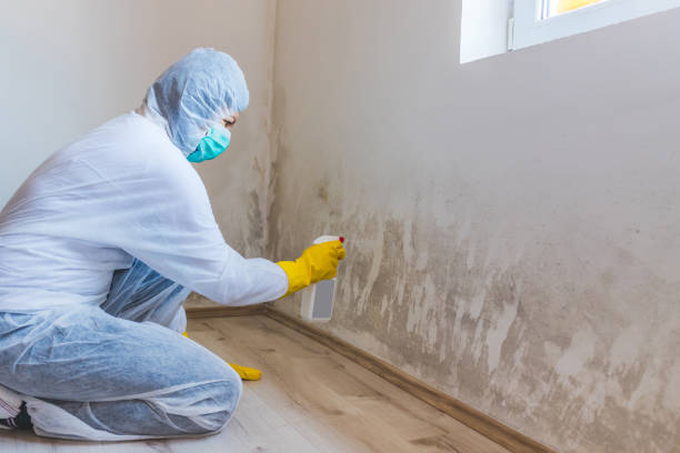 Licensed Crawl Space Mold Removal service in Waverly, MI - WQB Mold Removal