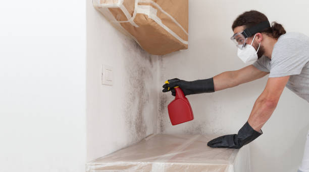 Professional Crawl Space Mold Removal technician working in Waverly, MI