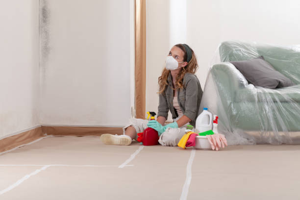 Reliable Crawl Space Mold Removal contractor in Waverly, MI by WQB Mold Removal